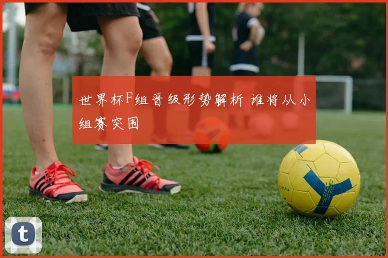 世界杯F组晋级形势解析 谁将从小组赛突围