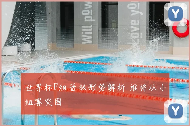 世界杯F组晋级形势解析 谁将从小组赛突围