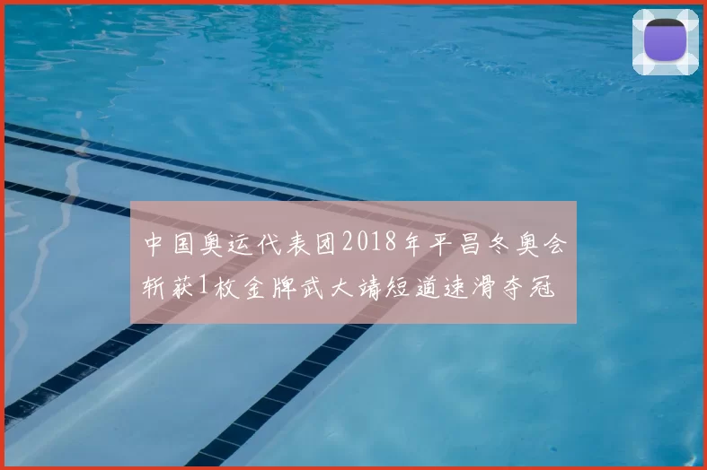 中国奥运代表团2018年平昌冬奥会斩获1枚金牌武大靖短道速滑夺冠