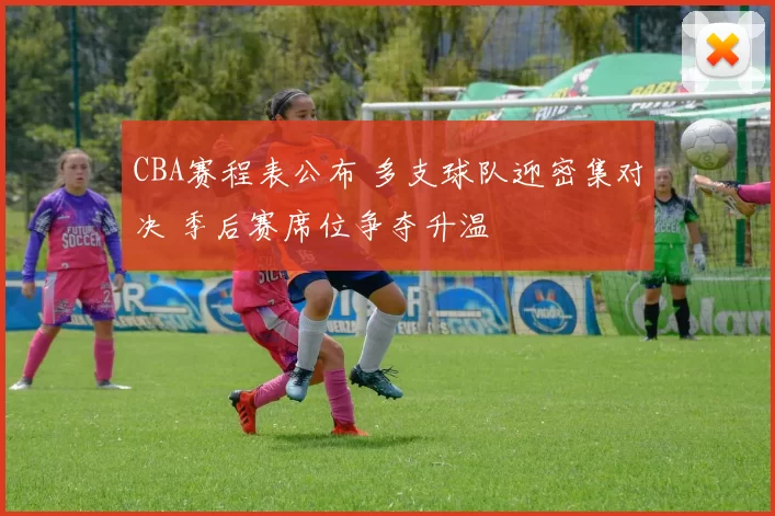 CBA赛程表公布 多支球队迎密集对决 季后赛席位争夺升温