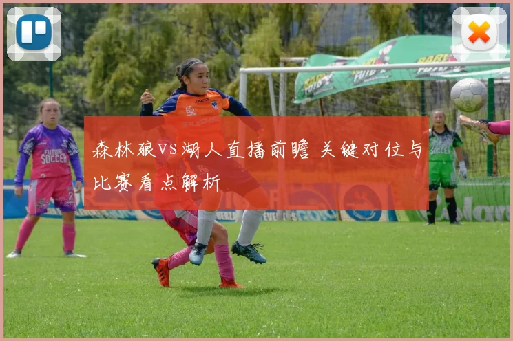 森林狼vs湖人直播前瞻 关键对位与比赛看点解析